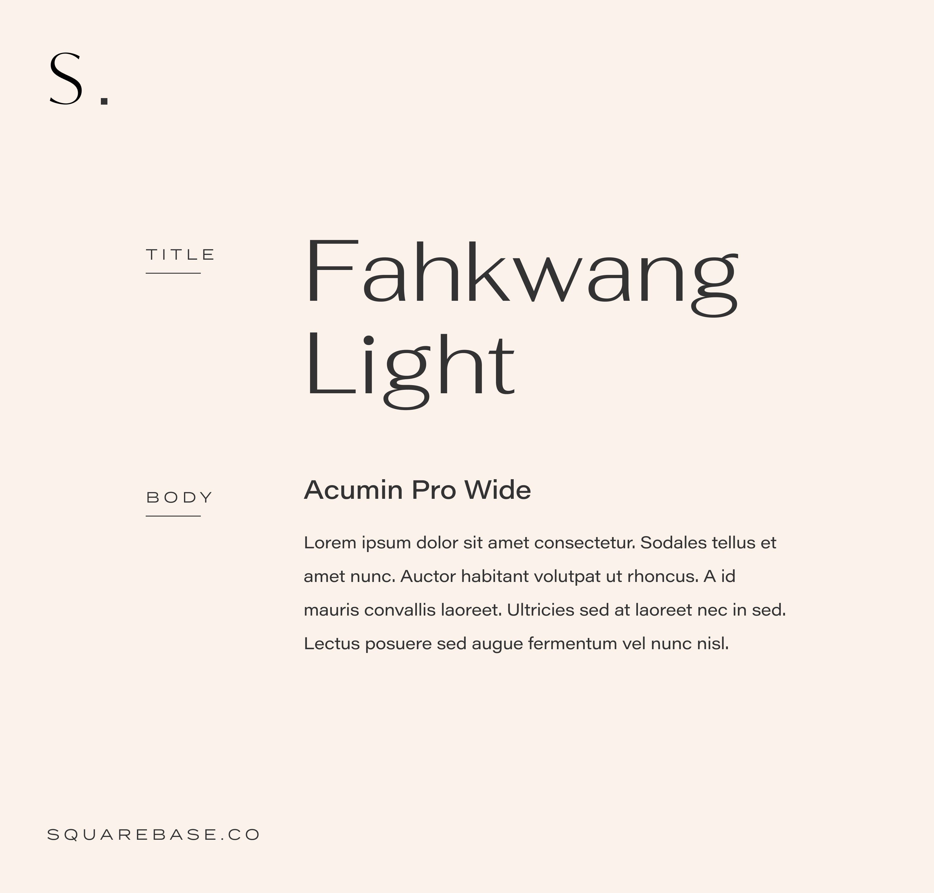 Modern Squarespace Font Pairings for Website Design