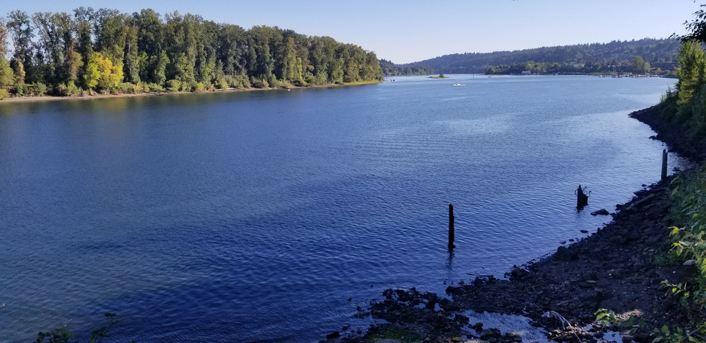 Blog-Willamette River greenway trail