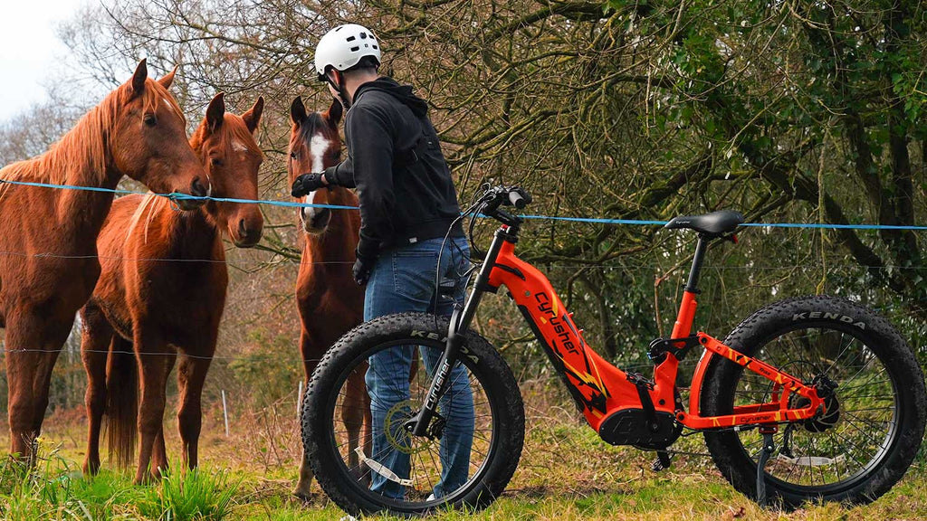 blog-riding ebike explore nature