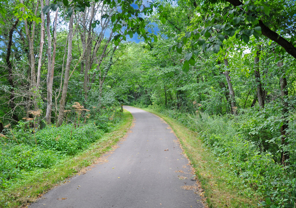 Root river Trail