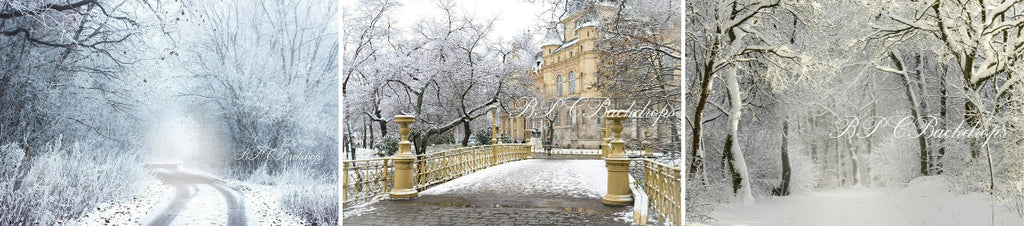 Aperturee Winter Wonderland Snow Nature Chirstmas Backdrop