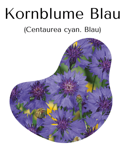 Kornblumen