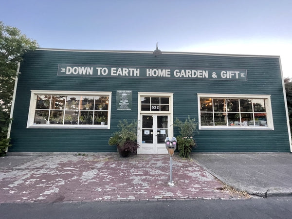 Down To Earth Garden Store Eugene Oregon