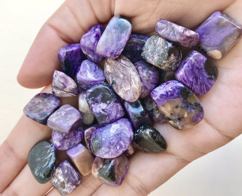 Collection of Charoite Gemstones