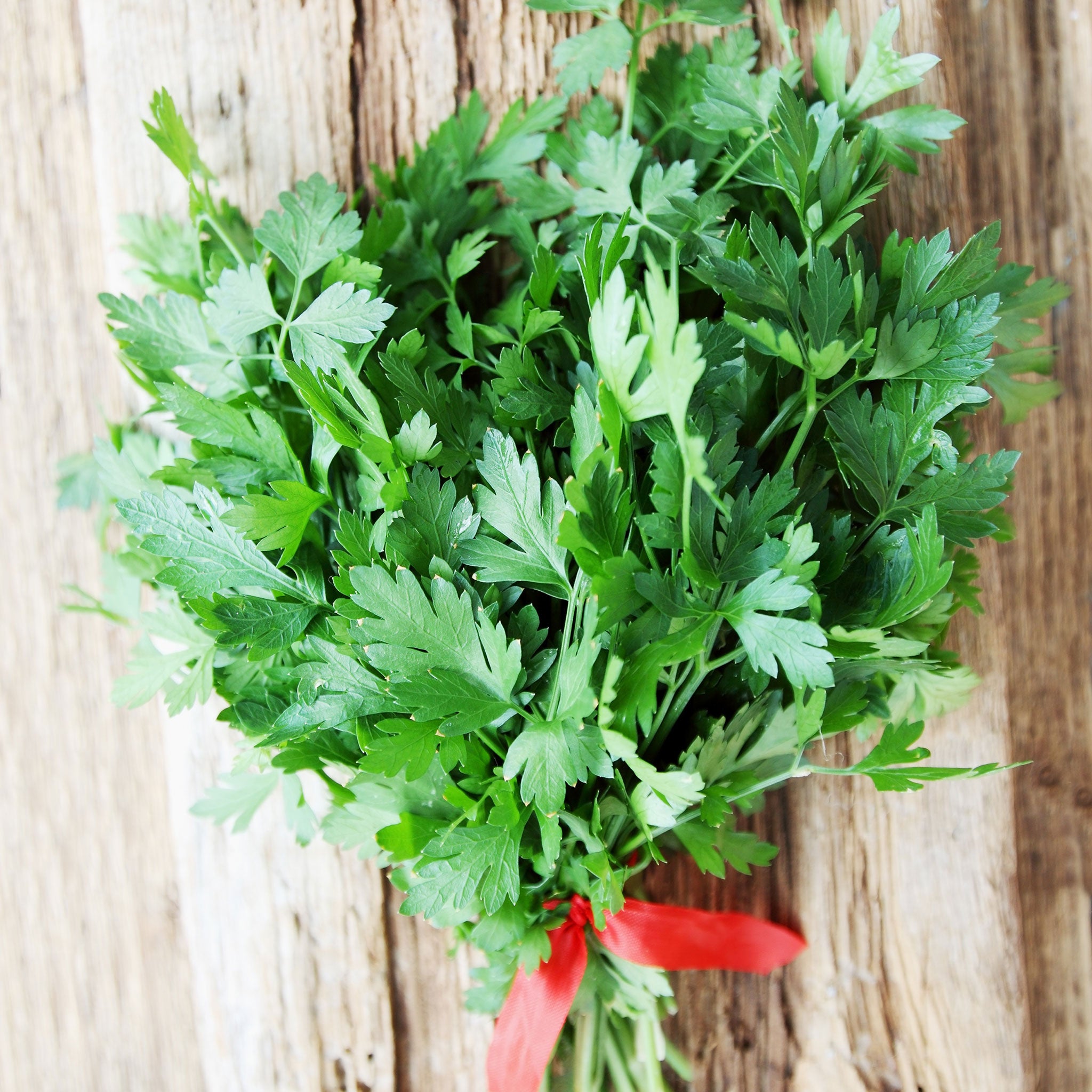 Parsley перевод на русский. Petroselinum crispum. Maydanoz. Пучок петрушки. Петрушка на столе.