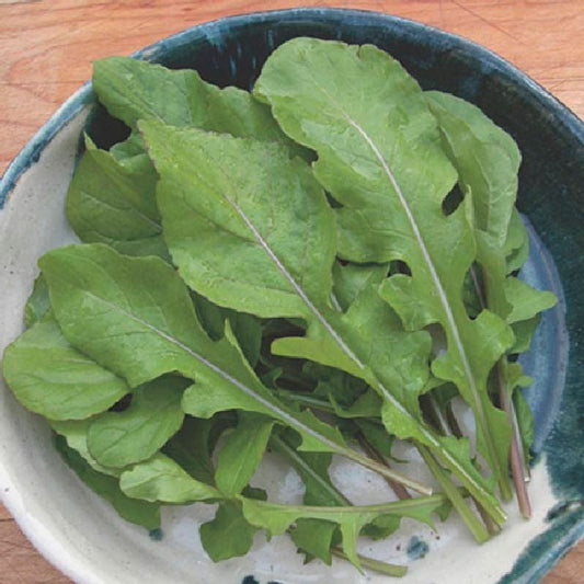 Organic Rocket Salad, Roquette Arugula Seeds - 300 Mg