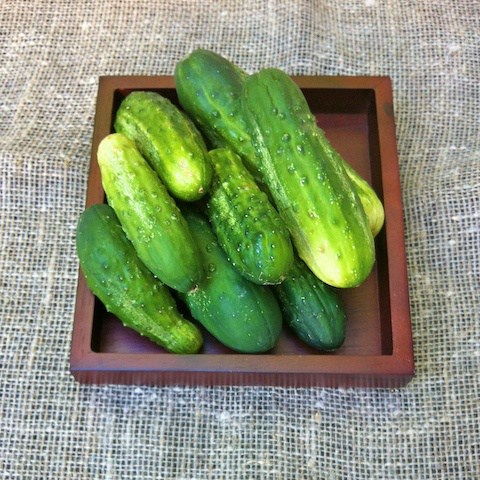 Cucumber Seeds - National Pickling | Vegetable Seeds in Packets & Bulk |  Eden Brothers