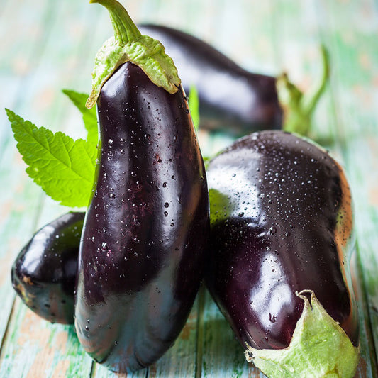 Italian Aubergine - Long Purple Seeds