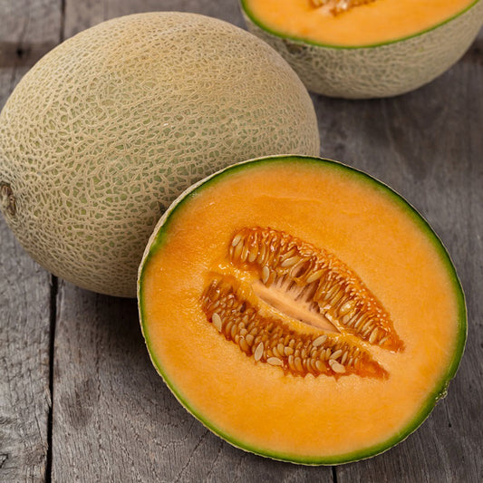 Green Honeydew Melon Seeds For Planting (Cucumis melo) – Seed Needs LLC