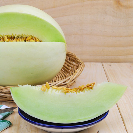 Organic Melon Seeds - Organic Honey Dew Green Flesh