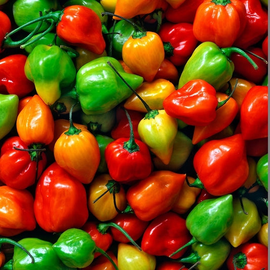  Sweet Bell Pepper Seeds Collection, 200 Seeds, 4 Heirloom  Non-GMO Varieties. Giant Green, Yellow Sunbright, Orange Horizon, Big Red.  : Patio, Lawn & Garden