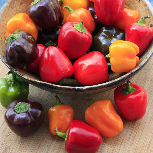  Sweet Bell Pepper Seeds Collection, 200 Seeds, 4 Heirloom  Non-GMO Varieties. Giant Green, Yellow Sunbright, Orange Horizon, Big Red.  : Patio, Lawn & Garden