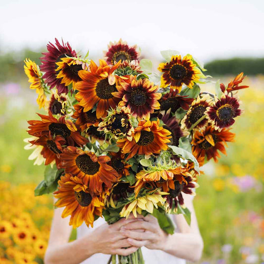 Edible Flower Garden Seed Mix - 4 Oz - Blend of Beautiful Flowers &  Wildflowers: Lovage, Signet Marigold, Hyssop, Nasturtium, Spearmint & More