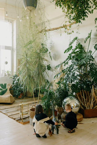 plants in room with kids and mirror ball