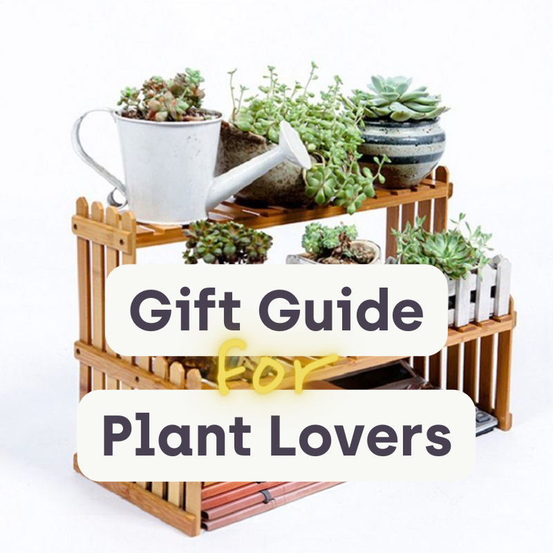 gift guide for plant lovers by Earth to Daisy