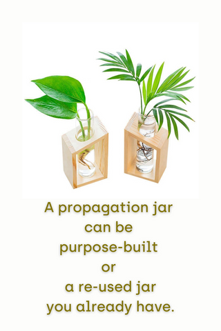 propagation jar can be new or used