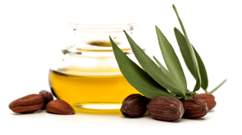 All-Natural Jojoba Seed Oil for Anti-Aging Serums, Creams, and Moisturizers 