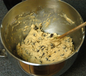 Pumpkin Chocolate Chip Cookie Dough 