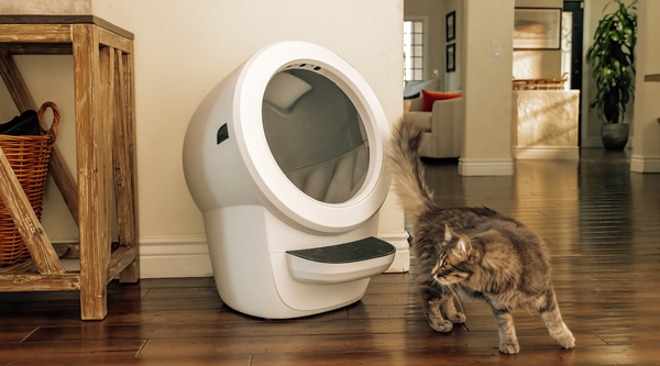 litter-robot-4