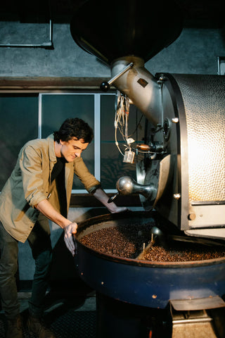 Coffee roaster inspecting roasted coffee beans