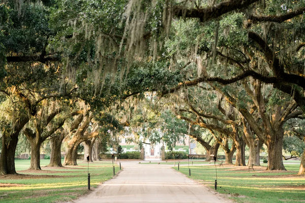 cypress gardens