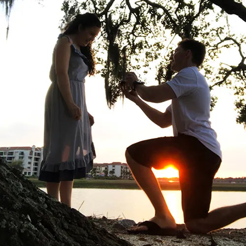 Proposal at sunset