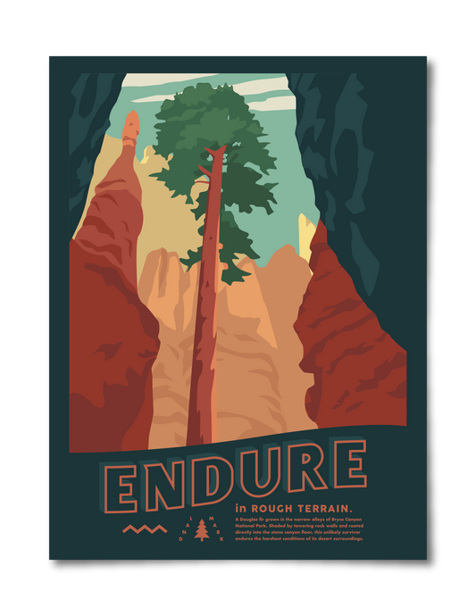 Endure Rough Terrain Poster