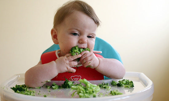 Desvendando o BLW: Método de Introdução Alimentar do Bebê