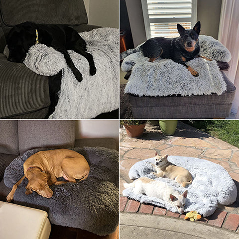 Furry Life Pals Komfortmatte, Anti-Angst-Möbelschutz, glücklicher Hund auf Sofa, Auto und Boden