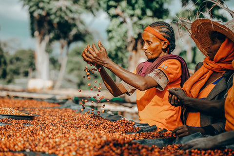 coffee farmer