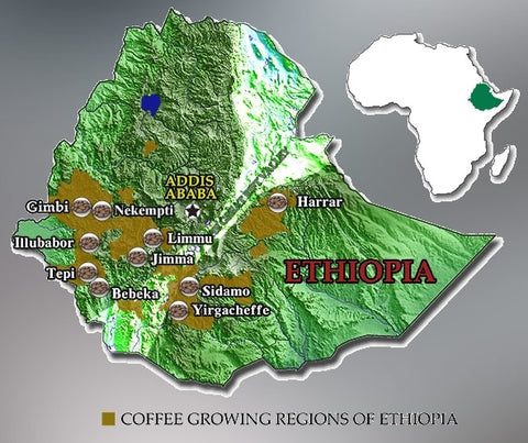 ethiopia coffee map