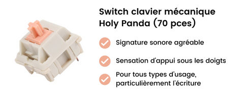 Switch tactile Holy Panda pour clavier mécanique silencieux