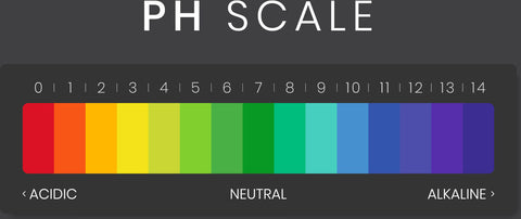 coffee pH scale