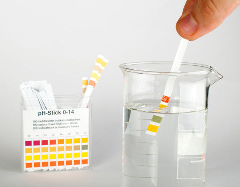 pH test strips