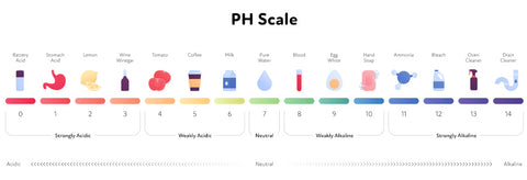 ph scale with various foods