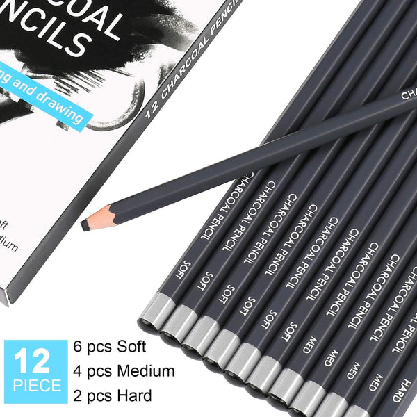 Brustro English Willow Charcoal Thin (25 sticks) (Free, Brustro Kneadable  eraser Worth Rs. 36) - Creative Hands