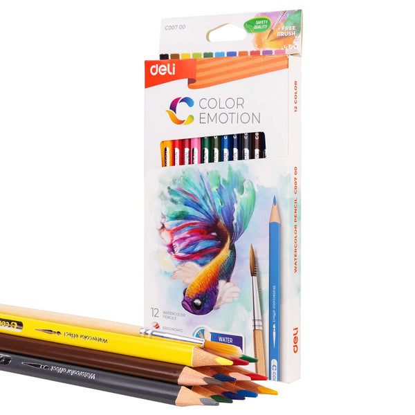 Deli 24 Professional Colored Pencil Set Pencils Water Soluble Sketchin –  AOOKMIYA