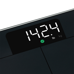 The One about the Etekcity Hanging Digital Luggage Scale (EL19