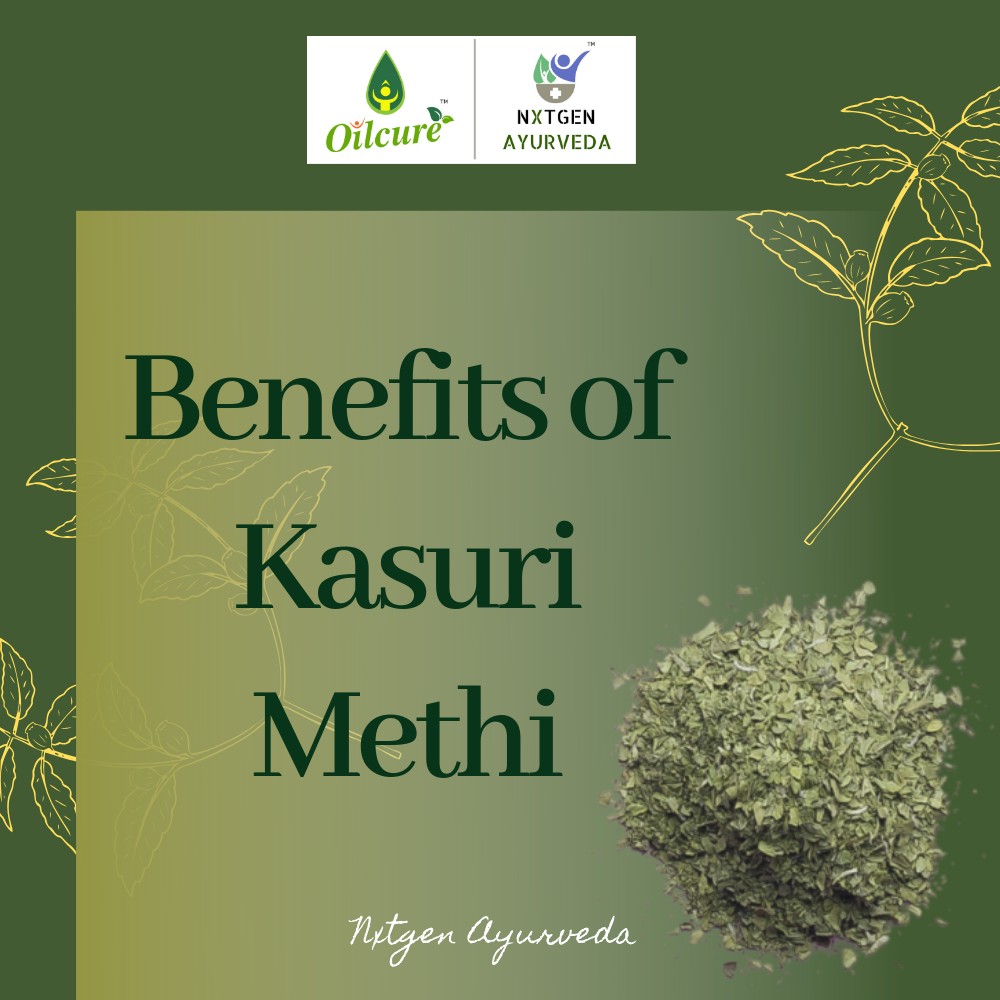 Kasuri Methikasoori Methi Online Usesfenugreek Leaves Bangalore Oilcure Nxtgen Ayurveda 