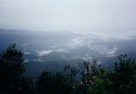 Gunung Belumut Johor