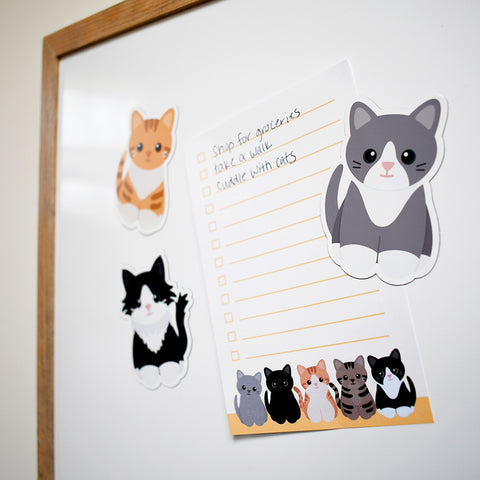 cat magnets