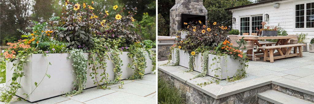 Concrete outdoor planters filled with plants and flowers.