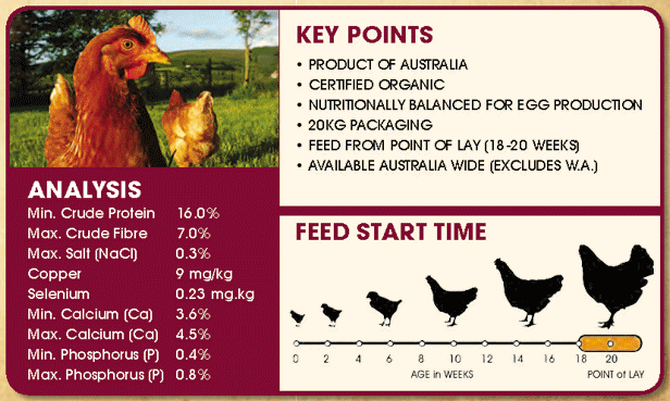 Organic Backyard Layer Mash Chicken Feed: Analysis, Key Points, Feed Start Time