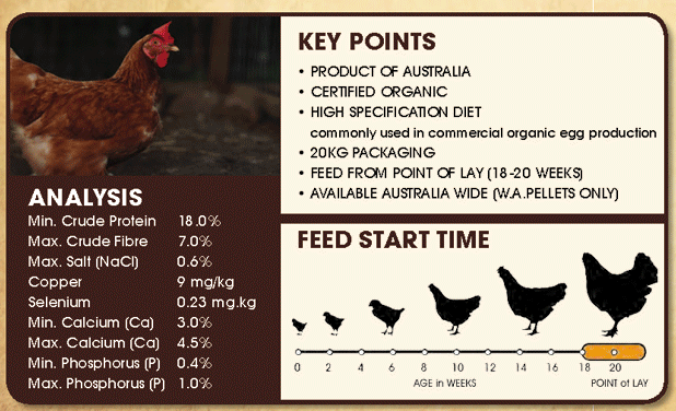 Organic Free Range Layer Mash: Analysis, Key Points, Feed Start Time