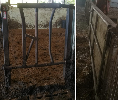 A handling corner with a headgate (left), a gate to guide a cow to a corner (right)