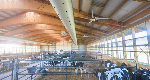 4dBarn® Ventilated – positive-pressure ventilation system design for all calf barns