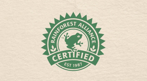 rainforest alliance sertifikalı kahve