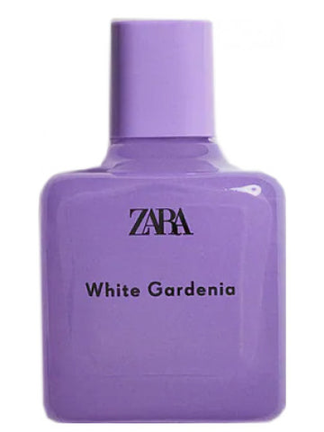 Zara White Gardenia