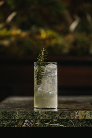 Land Collins Faragaia cocktail in a tall glass with sprig of pine garnish displayed on a wooden surface with dark natural background