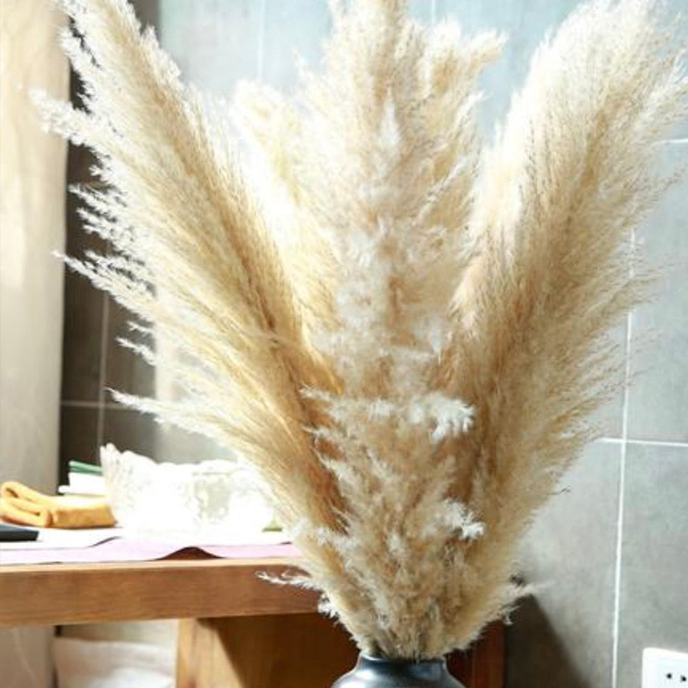 Acheter un Bouquet de 7 Pampas séchées – Pampa Décoration